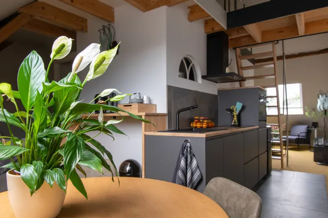 Studio kitchen with lilies on the table